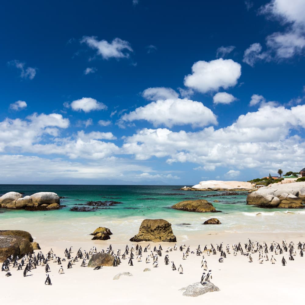 South Africa